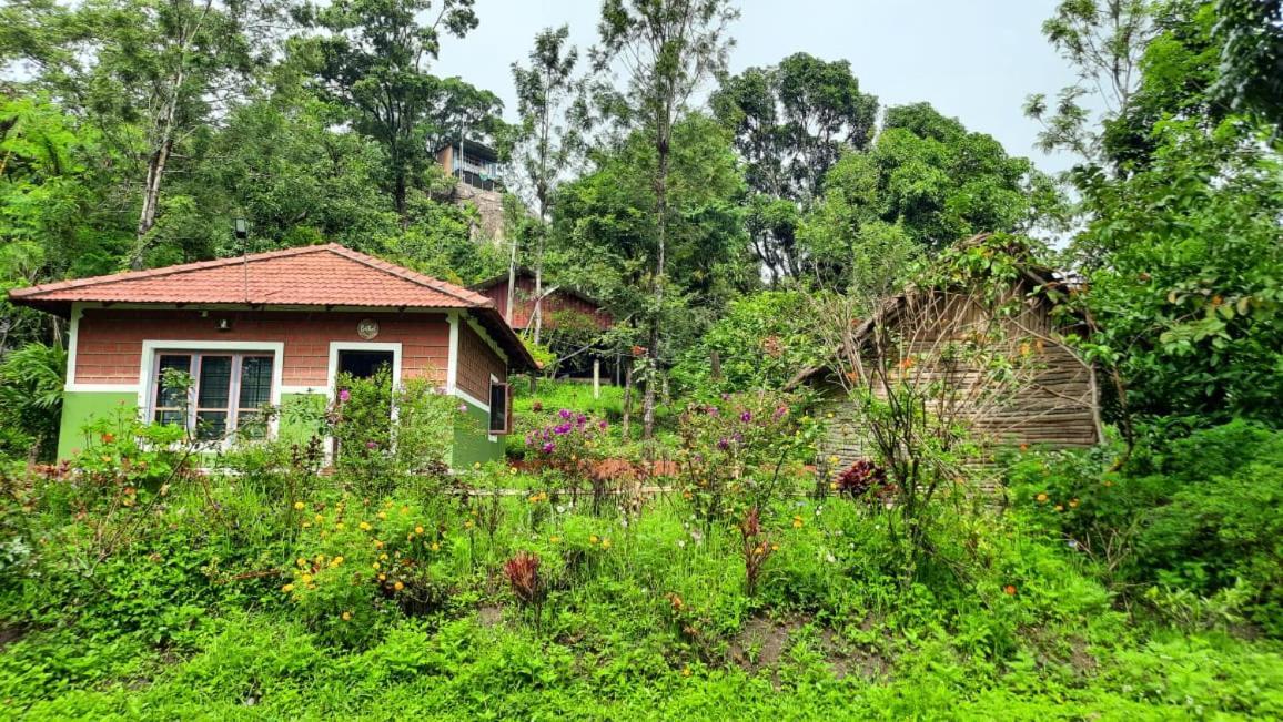 Farm stay Qatsyir Horizon *