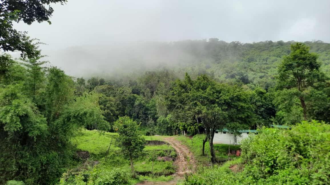 Qatsyir Horizon Farm stay *