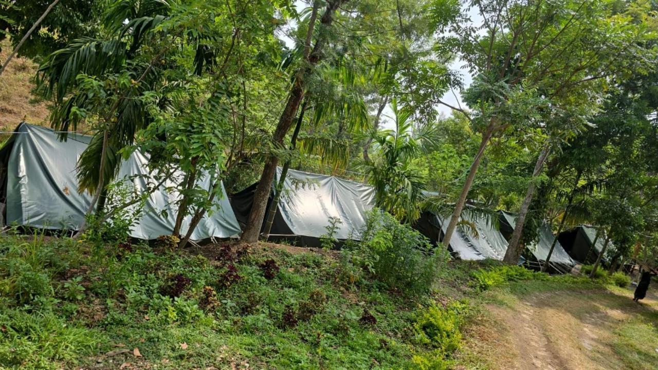 Farm stay Qatsyir Horizon Varagampadi