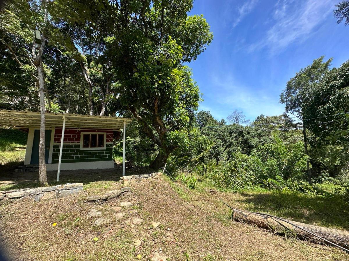 Qatsyir Horizon Farm stay