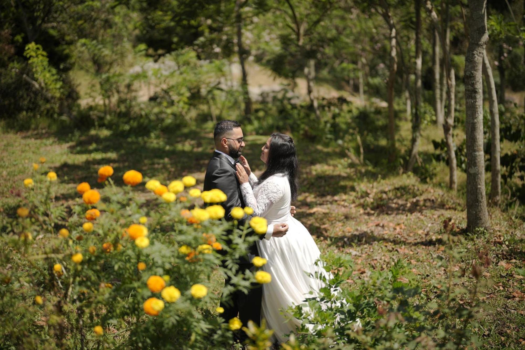 Qatsyir Horizon Farm stay Varagampadi