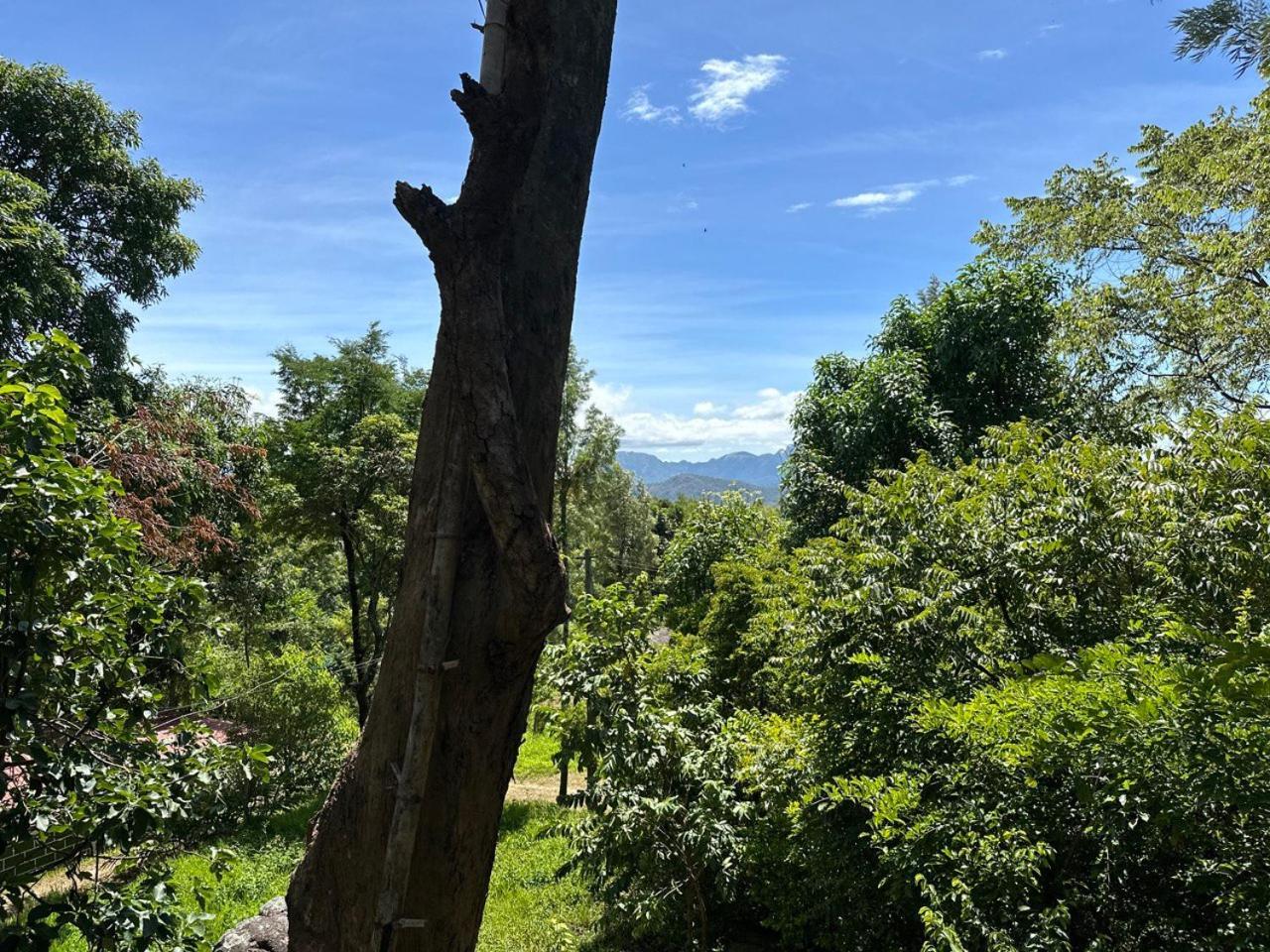 Qatsyir Horizon Farm stay