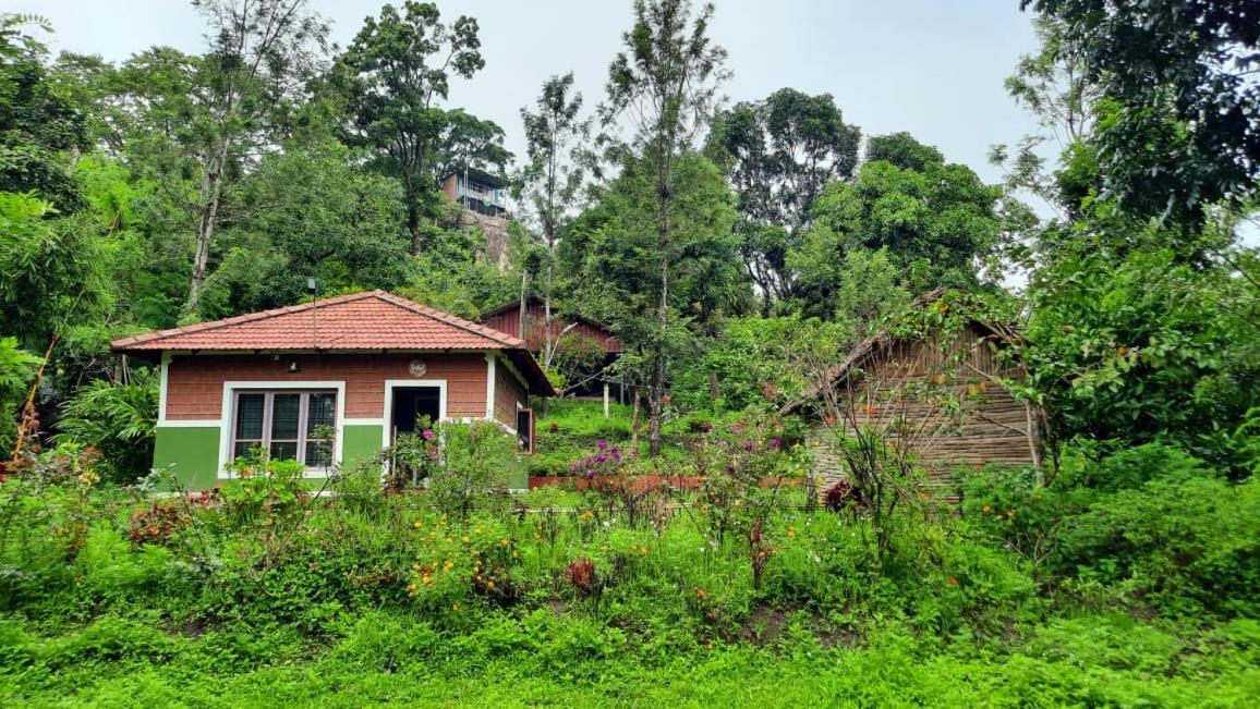 Qatsyir Horizon Farm stay