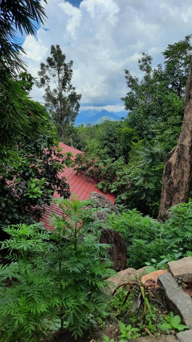 Qatsyir Horizon Farm stay Varagampadi