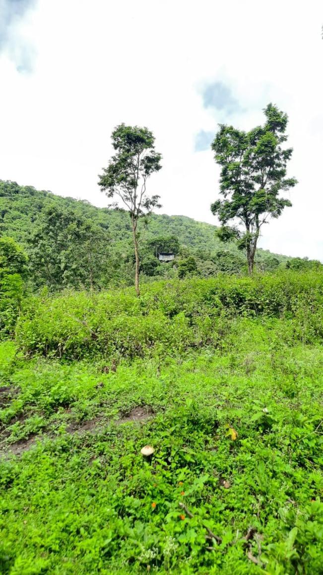 Farm stay Qatsyir Horizon Varagampadi